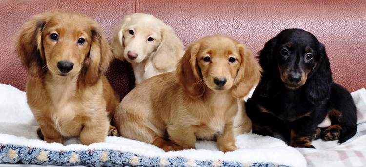 55eb1a477ba1f6cebe743942a0b0292b_1764428710_6926.jpg 55eb1a477ba1f6cebe743942a0b0292b_1764428710_6926.jpg