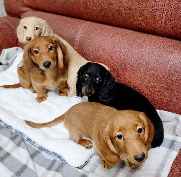 55eb1a477ba1f6cebe743942a0b0292b_1764428711_0205.jpg 55eb1a477ba1f6cebe743942a0b0292b_1764428711_0205.jpg