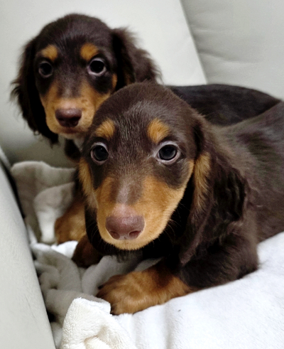 3d99bdd0322a7100ce3db8ebf451d172_1772537511_2455.jpg 3d99bdd0322a7100ce3db8ebf451d172_1772537511_2455.jpg