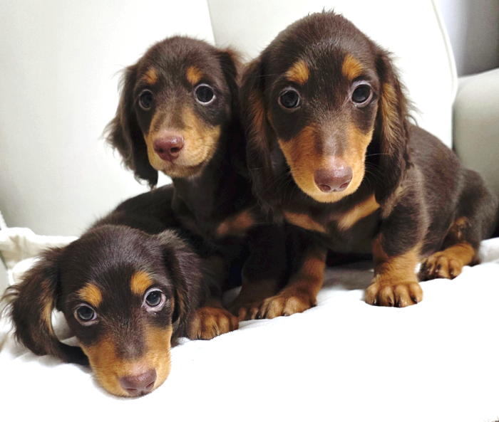 3d99bdd0322a7100ce3db8ebf451d172_1772537511_4186.jpg 3d99bdd0322a7100ce3db8ebf451d172_1772537511_4186.jpg