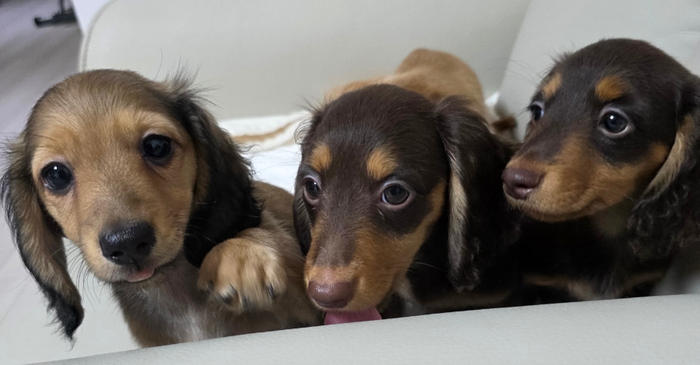 3d99bdd0322a7100ce3db8ebf451d172_1772537511_541.jpg 3d99bdd0322a7100ce3db8ebf451d172_1772537511_541.jpg