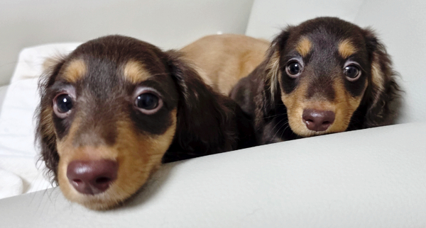 3d99bdd0322a7100ce3db8ebf451d172_1772537511_6847.jpg 3d99bdd0322a7100ce3db8ebf451d172_1772537511_6847.jpg