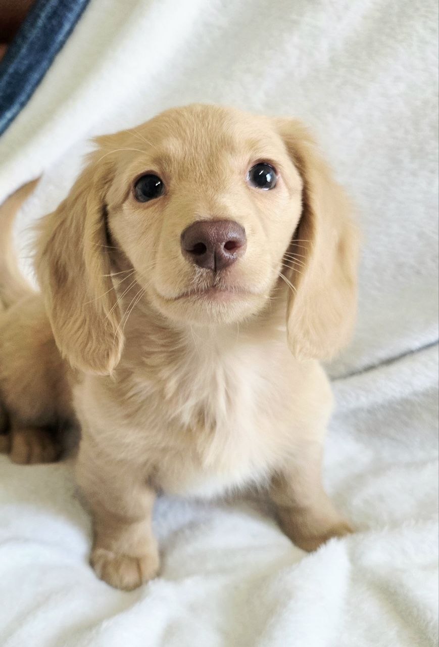 bb2342ec67f8847d5ed37e1df11eed75_1775540207_2572.jpg bb2342ec67f8847d5ed37e1df11eed75_1775540207_2572.jpg