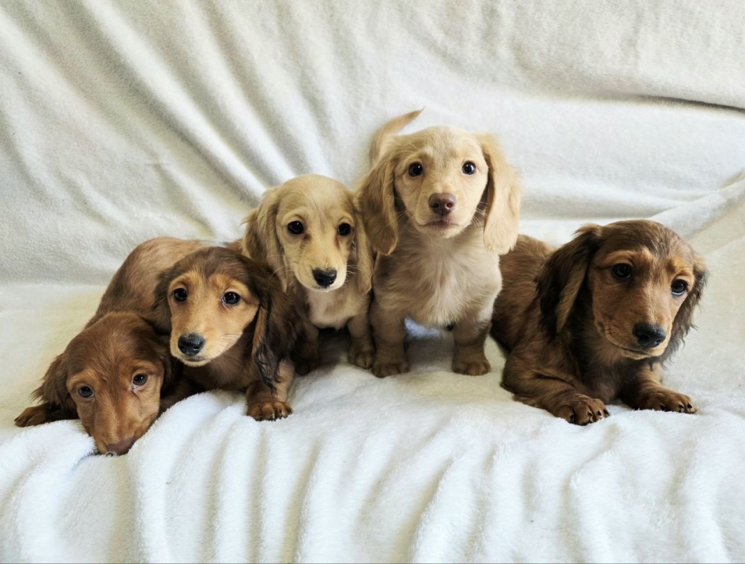 bb2342ec67f8847d5ed37e1df11eed75_1775540207_3279.jpg bb2342ec67f8847d5ed37e1df11eed75_1775540207_3279.jpg