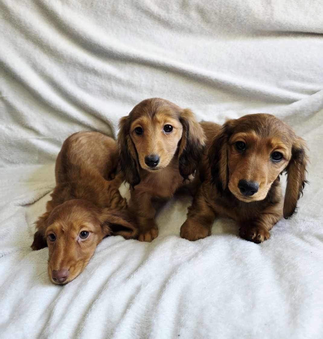 bb2342ec67f8847d5ed37e1df11eed75_1775541392_8114.jpg bb2342ec67f8847d5ed37e1df11eed75_1775541392_8114.jpg