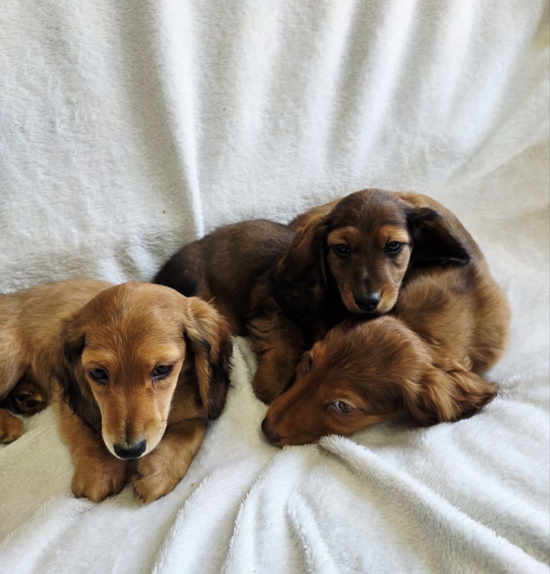 bb2342ec67f8847d5ed37e1df11eed75_1775542115_5416.jpg bb2342ec67f8847d5ed37e1df11eed75_1775542115_5416.jpg