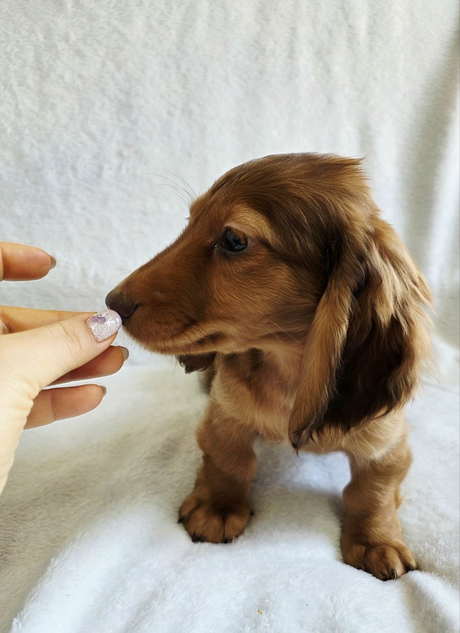 bb2342ec67f8847d5ed37e1df11eed75_1775542271_8897.jpg bb2342ec67f8847d5ed37e1df11eed75_1775542271_8897.jpg