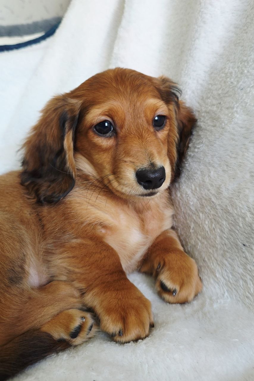 bb2342ec67f8847d5ed37e1df11eed75_1775542273_0406.jpg bb2342ec67f8847d5ed37e1df11eed75_1775542273_0406.jpg