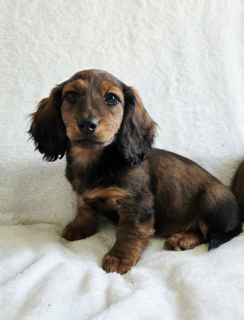 bb2342ec67f8847d5ed37e1df11eed75_1775542273_649.jpg bb2342ec67f8847d5ed37e1df11eed75_1775542273_649.jpg