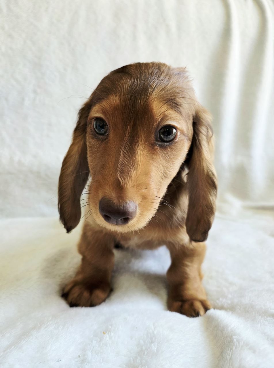 bb2342ec67f8847d5ed37e1df11eed75_1775542484_8228.jpg bb2342ec67f8847d5ed37e1df11eed75_1775542484_8228.jpg