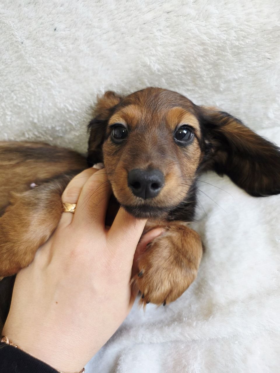 bb2342ec67f8847d5ed37e1df11eed75_1775542502_8503.jpg bb2342ec67f8847d5ed37e1df11eed75_1775542502_8503.jpg